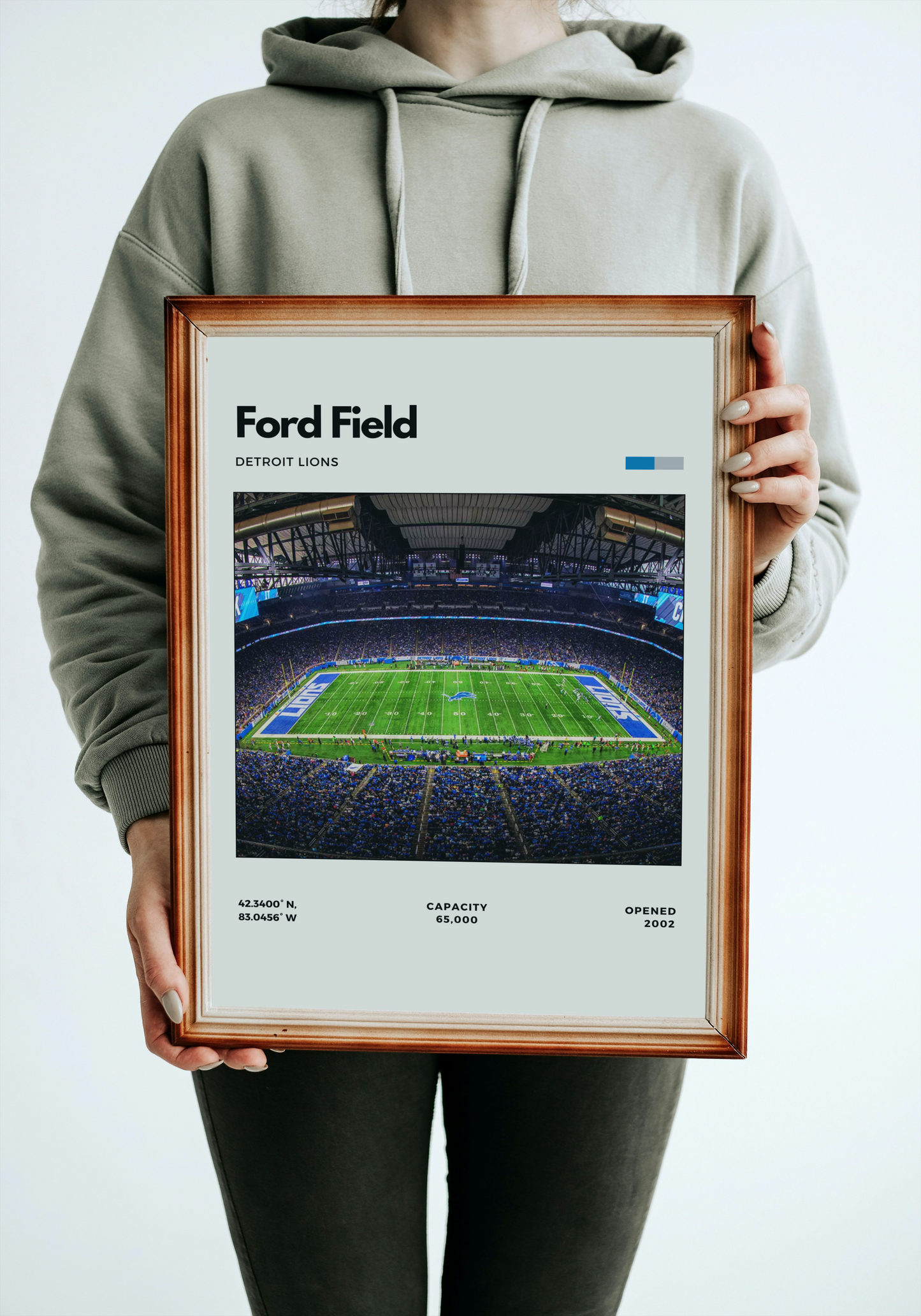 Ford Field Stadium Poster – Home of Detroit Lions