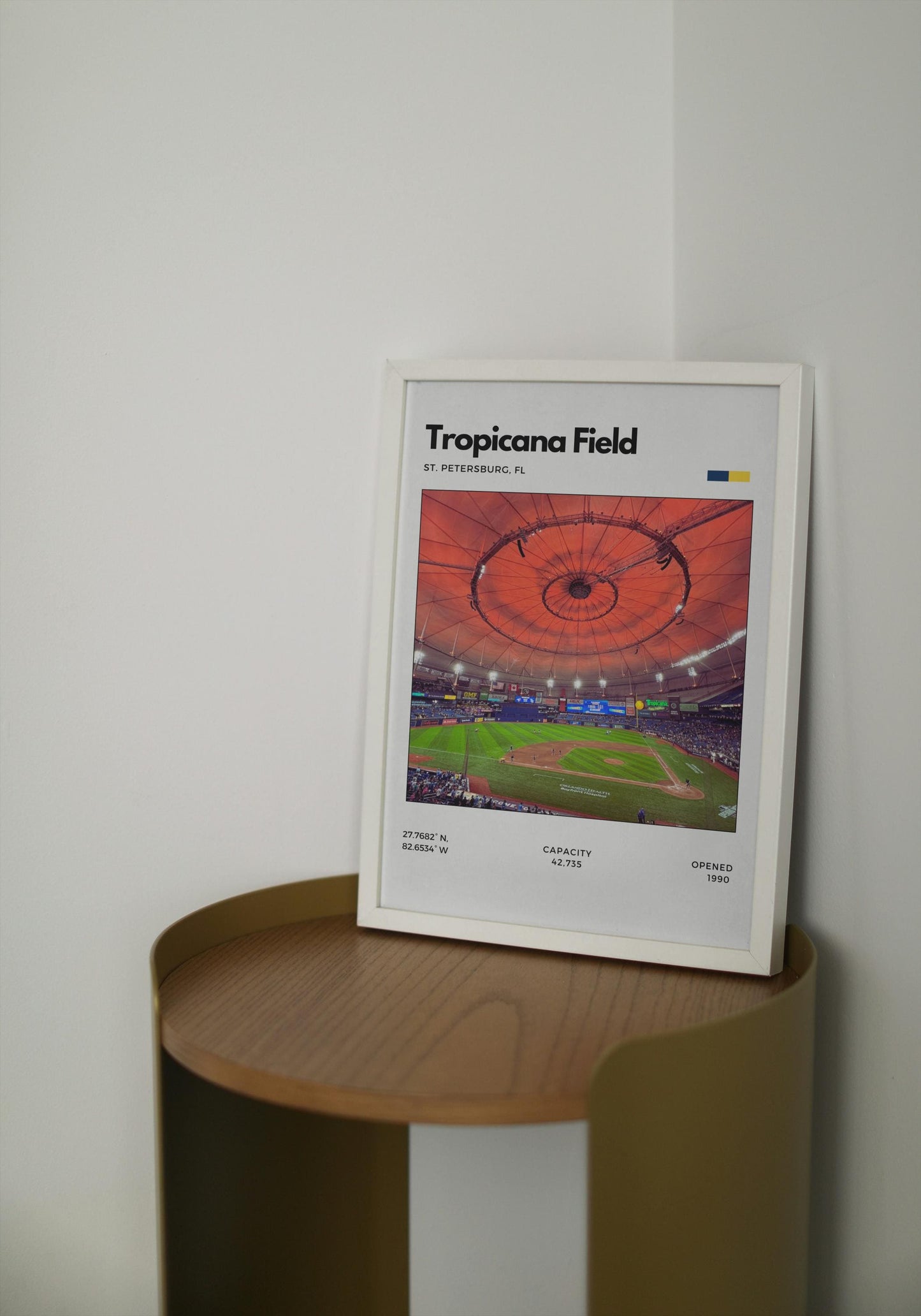 Tropicana Field - Home of the Tampa Bay Rays