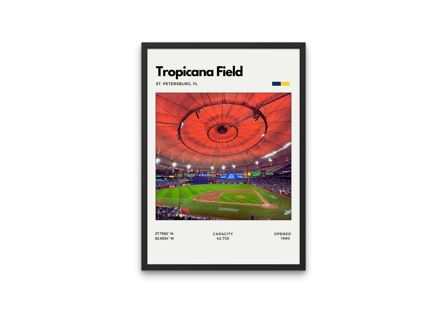 Tropicana Field - Home of the Tampa Bay Rays