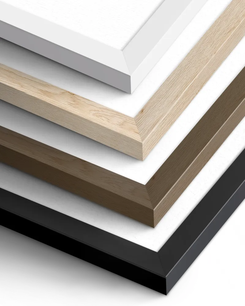 Sample Frames