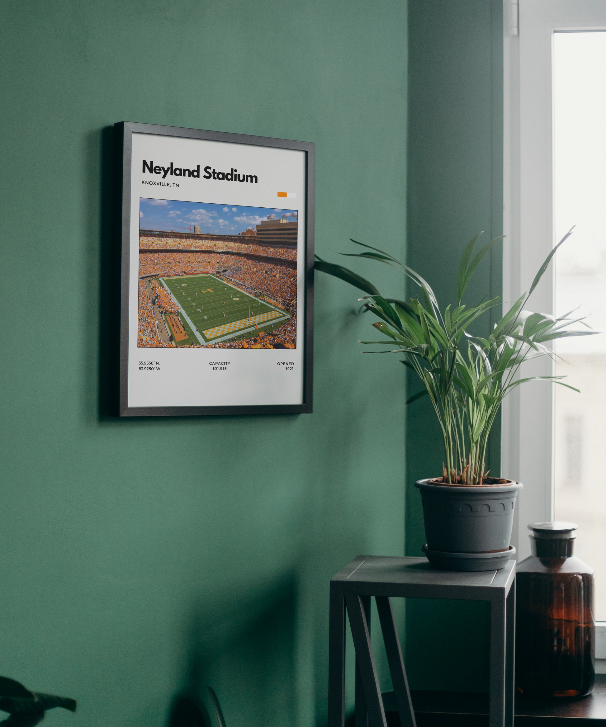 Framed poster of Neyland Stadium on a green wall with a plant and bottle in the foreground.