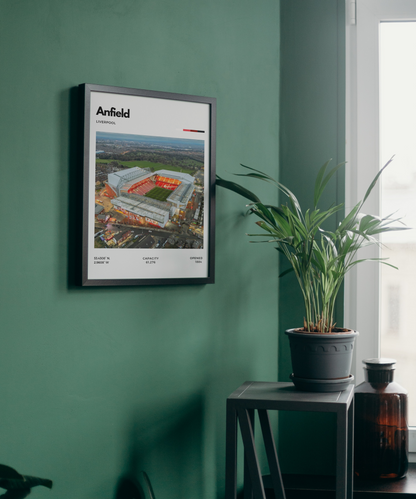 Framed poster of Anfield stadium on a green wall with a plant and bottle in the foreground.
